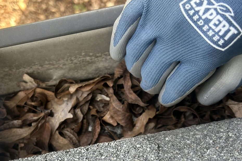 Gutter Cleaning Lenexa, KS