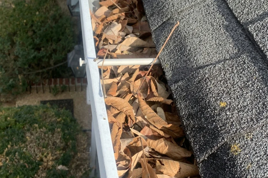 Gutter Cleaning Lenexa, KS