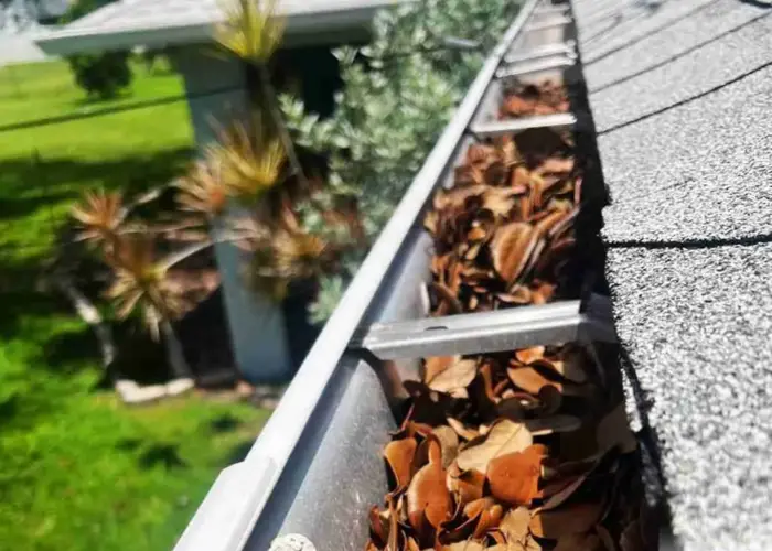 Gutter Cleaning Lenexa, KS home page